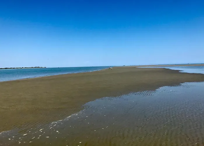 La Zia Acida